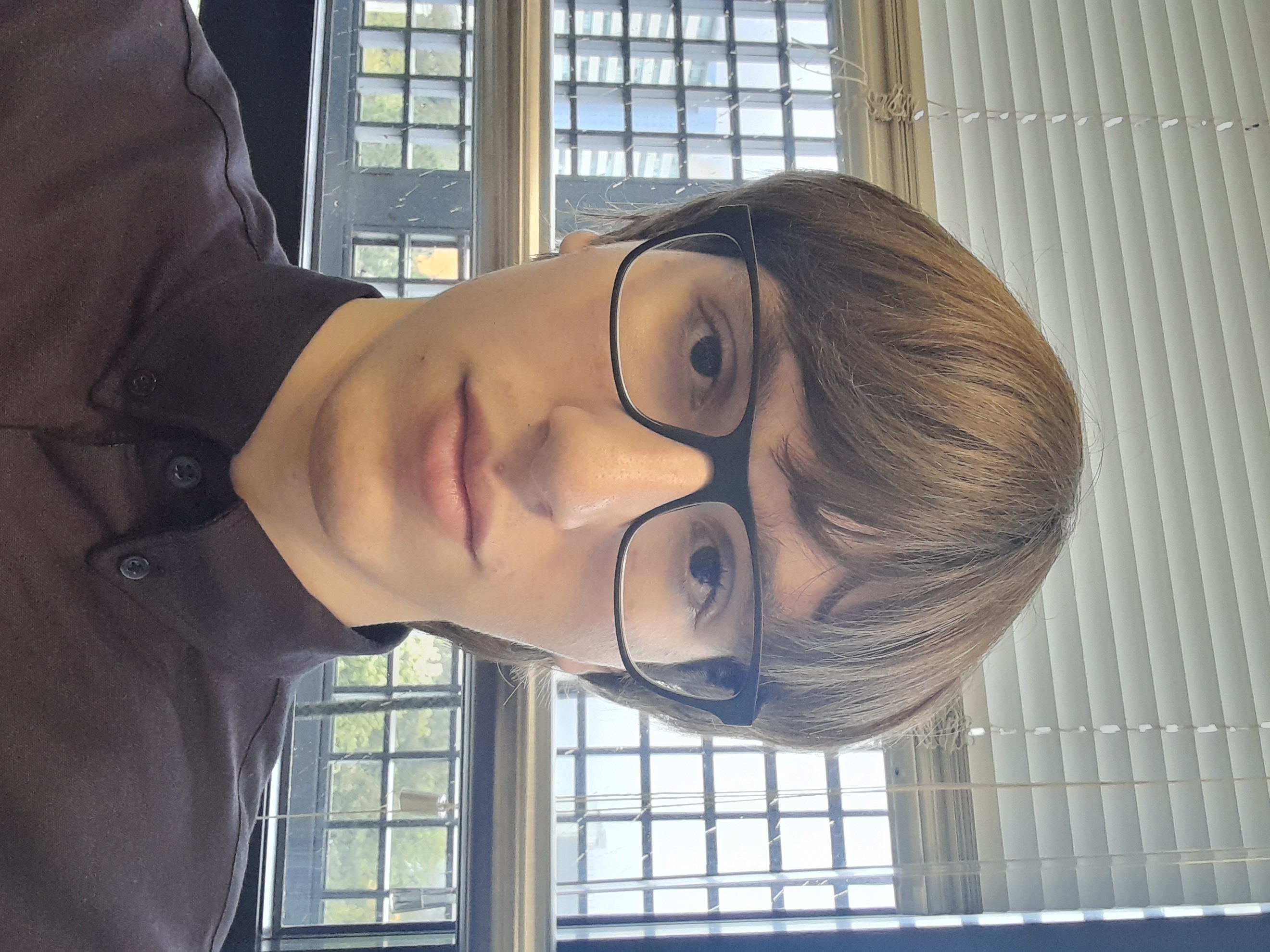 Gabriel Ferri Schneider